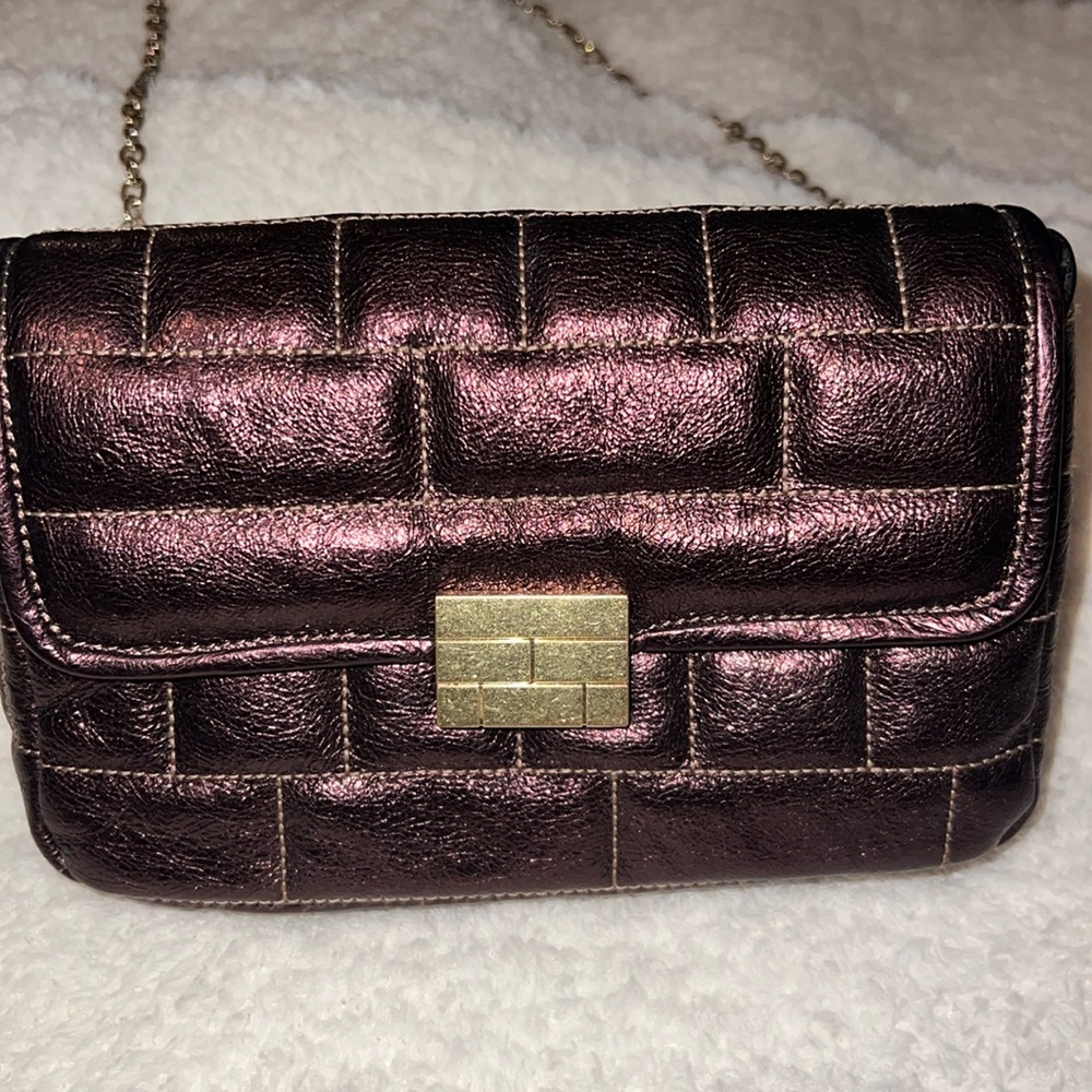 Frame Metallic Bag